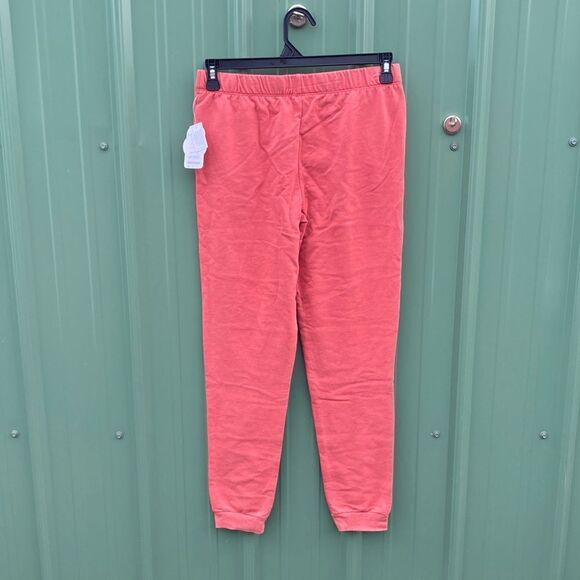 Girls' Active Comfy Fleece Jogger Pants 2-Pack Size XL 14/16 - Picture 5 of 5